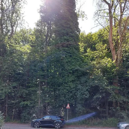 Kamerer Bad Harzburg