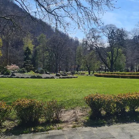 Lägenhet Kamerer Bad Harzburg
