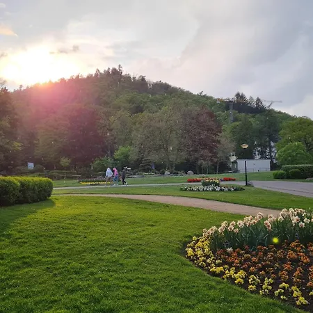 Kamerer Bad Harzburg