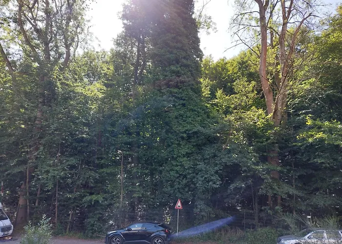 Kamerer Bad Harzburg